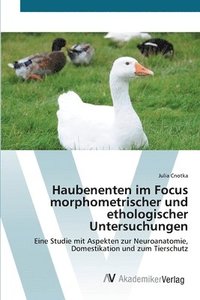bokomslag Haubenenten im Focus morphometrischer und ethologischer Untersuchungen