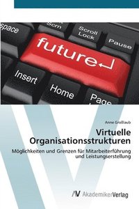 bokomslag Virtuelle Organisationsstrukturen