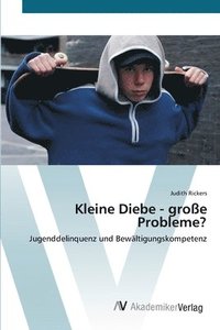 bokomslag Kleine Diebe - grosse Probleme?