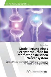 bokomslag Modellierung eines Rezeptorneurons im stomatogastrischen Nervensystem