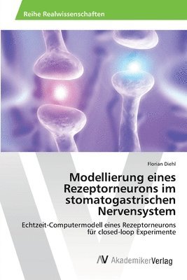 Modellierung eines Rezeptorneurons im stomatogastrischen Nervensystem 1