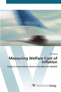 bokomslag Measuring Welfare Cost of Inflation