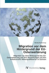bokomslag Migration vor dem Hintergrund der EU-Osterweiterung