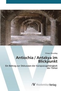 bokomslag Antiochia / Antakya im Blickpunkt