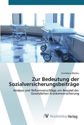 bokomslag Zur Bedeutung der Sozialversicherungsbeitrge