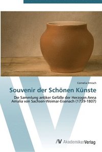 bokomslag Souvenir der Schnen Knste