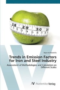 bokomslag Trends in Emission Factors for Iron and Steel Industry