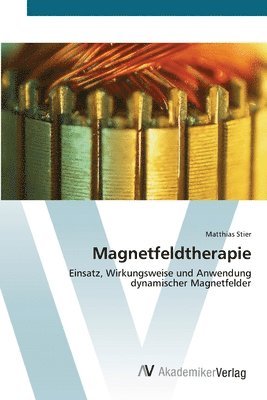 Matthias Stier - Magnetfeldtherapie, Häftad