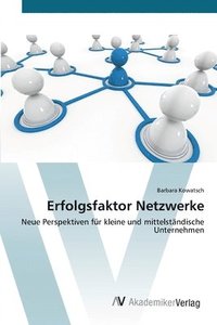 bokomslag Erfolgsfaktor Netzwerke