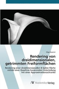 bokomslag Rendering von dreidimensionalen, getrimmten Freiformflächen