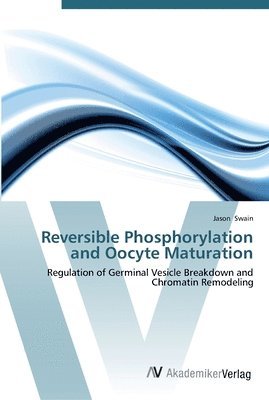 Reversible Phosphorylation and Oocyte Maturation 1