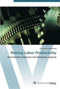bokomslag Raising Labor Productivity