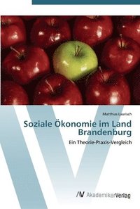 bokomslag Soziale konomie im Land Brandenburg
