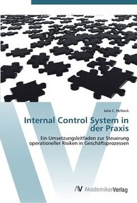 bokomslag Internal Control System in der Praxis