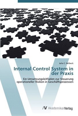 Internal Control System in der Praxis 1