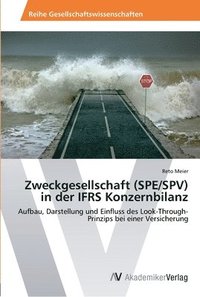 bokomslag Zweckgesellschaft (SPE/SPV) in der IFRS Konzernbilanz