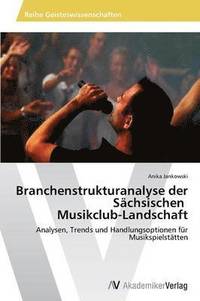 bokomslag Branchenstrukturanalyse Der Sachsischen Musikclub-Landschaft