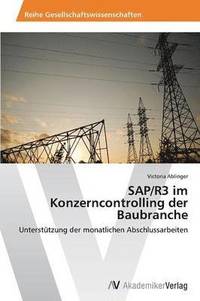 bokomslag SAP/R3 Im Konzerncontrolling Der Baubranche