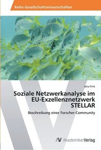 bokomslag Soziale Netzwerkanalyse im EU-Exzellenznetzwerk STELLAR