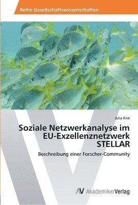 Soziale Netzwerkanalyse im EU-Exzellenznetzwerk STELLAR 1