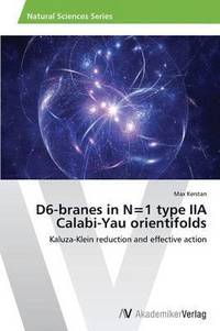 bokomslag D6-branes in N=1 type IIA Calabi-Yau orientifolds