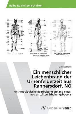 Ein menschlicher Leichenbrand der Urnenfelderzeit aus Rannersdorf, N 1