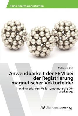 Anwendbarkeit der FEM bei der Registrierung magnetischer Vektorfelder 1