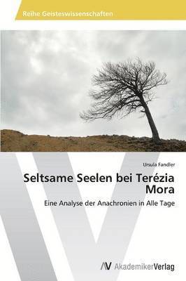 bokomslag Seltsame Seelen Bei Terezia Mora