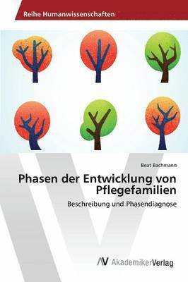 Phasen der Entwicklung von Pflegefamilien 1