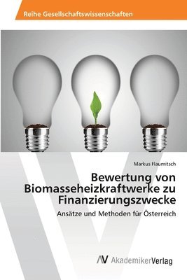 Bewertung von Biomasseheizkraftwerke zu Finanzierungszwecke 1