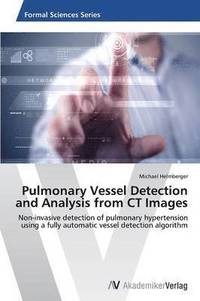 bokomslag Pulmonary Vessel Detection and Analysis from CT Images