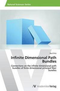 bokomslag Infinite Dimensional Path Bundles