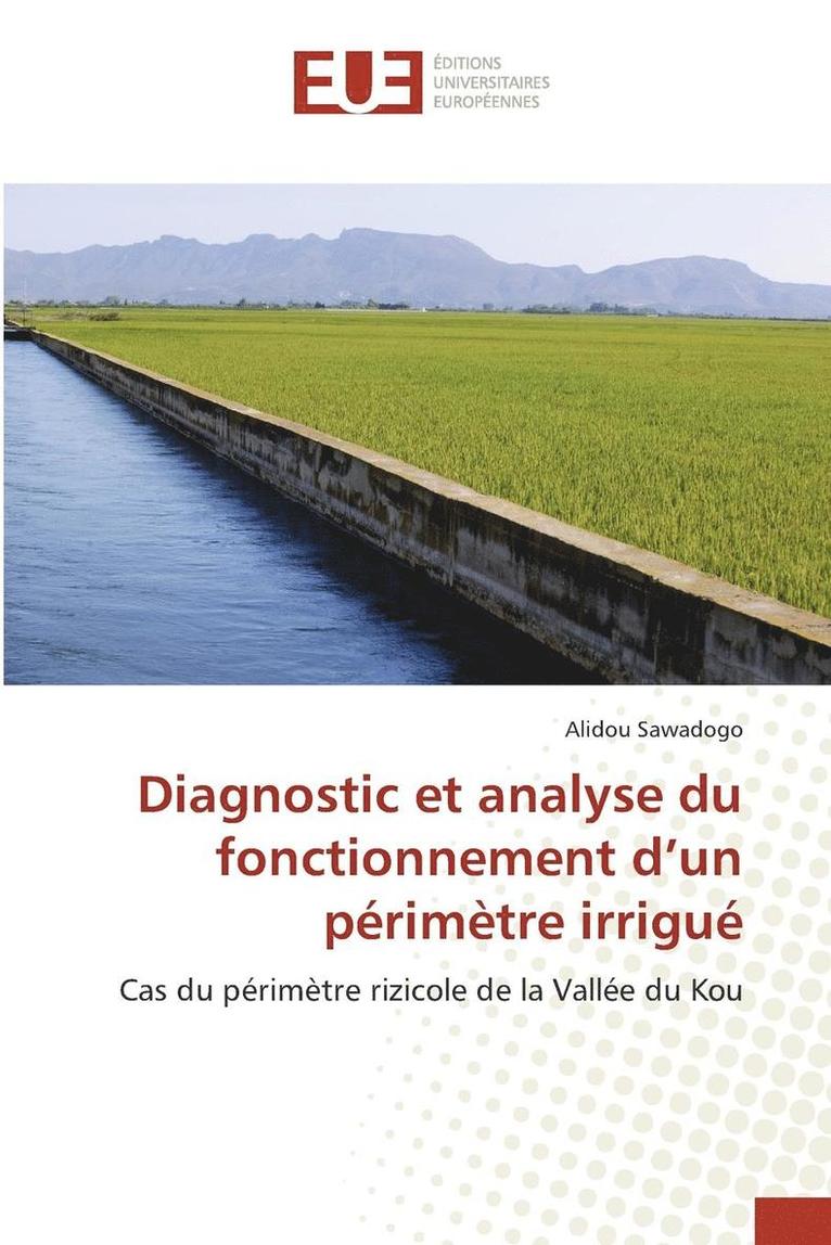 Diagnostic Et Analyse Du Fonctionnement d'Un Perimetre Irrigue 1