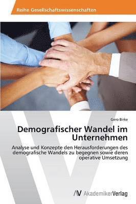 bokomslag Demografischer Wandel im Unternehmen