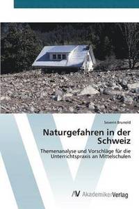 bokomslag Naturgefahren in der Schweiz