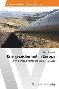 bokomslag Energiesicherheit in Europa