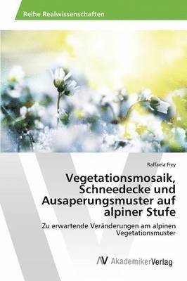 Vegetationsmosaik, Schneedecke und Ausaperungsmuster auf alpiner Stufe 1