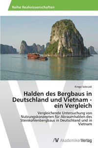 bokomslag Halden des Bergbaus in Deutschland und Vietnam - ein Vergleich