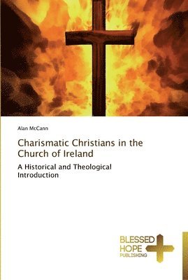 Alan McCann - Charismatic Christians in the Church of Ireland, Häftad