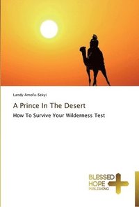 bokomslag A Prince In The Desert
