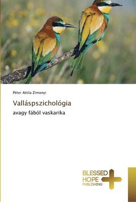 bokomslag Vallspszicholgia