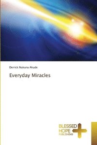 bokomslag Everyday Miracles