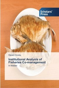 bokomslag Institutional Analysis of Fisheries Co-management