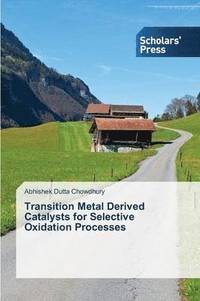 bokomslag Transition Metal Derived Catalysts for Selective Oxidation Processes