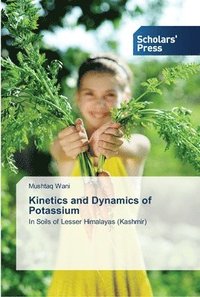 bokomslag Kinetics and Dynamics of Potassium