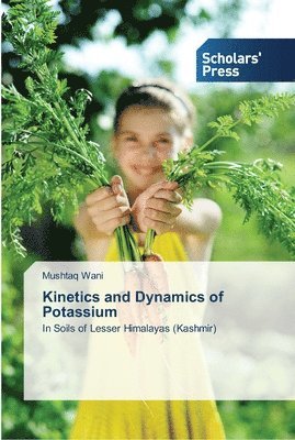 Kinetics and Dynamics of Potassium 1