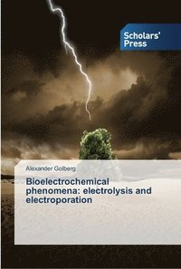 bokomslag Bioelectrochemical phenomena