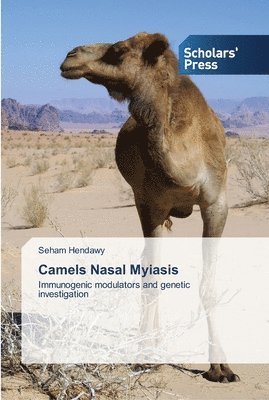 Camels Nasal Myiasis 1