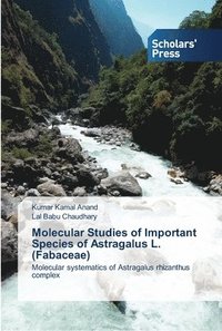 bokomslag Molecular Studies of Important Species of Astragalus L. (Fabaceae)
