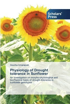 Physiology of Drought tolerance in Sunflower 1